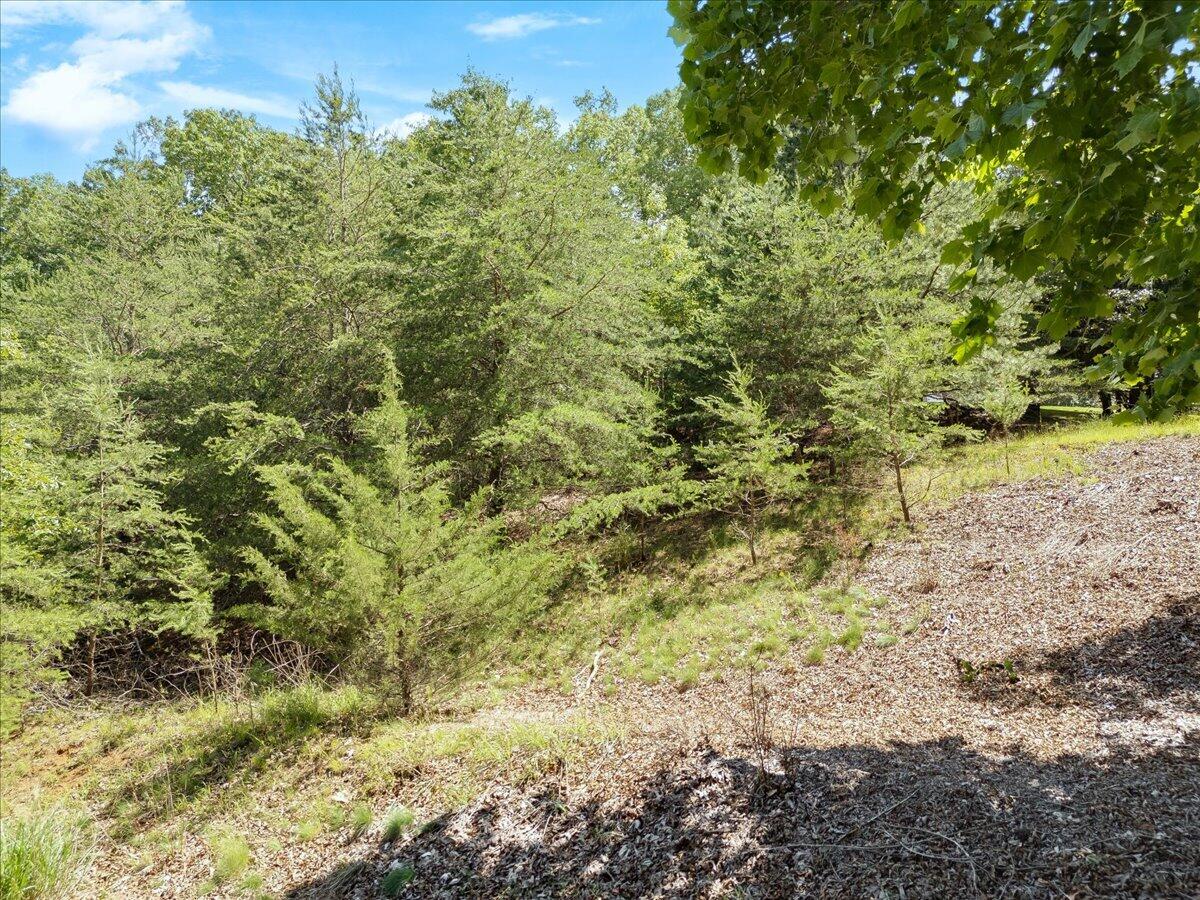 Lot123&124 Dixon DR