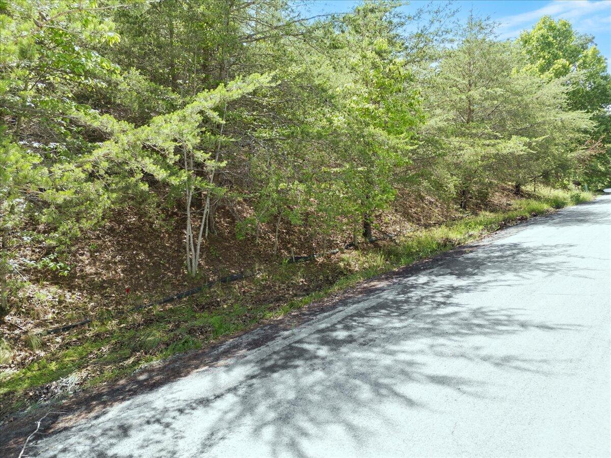 Lot123&124 Dixon DR