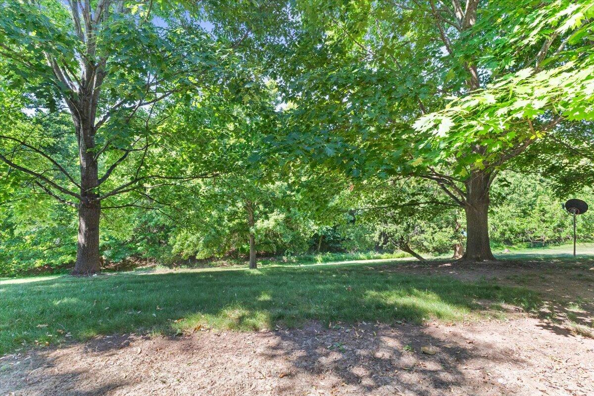 316 Polar LN