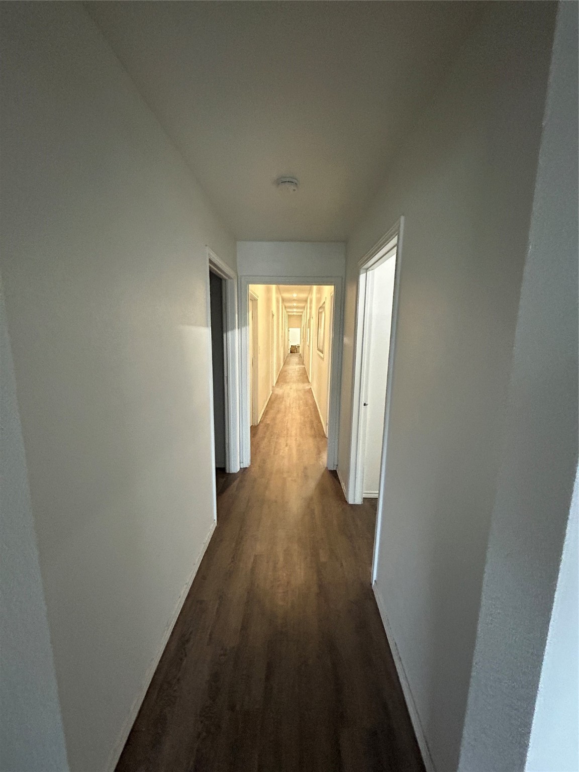 320 International Drive
