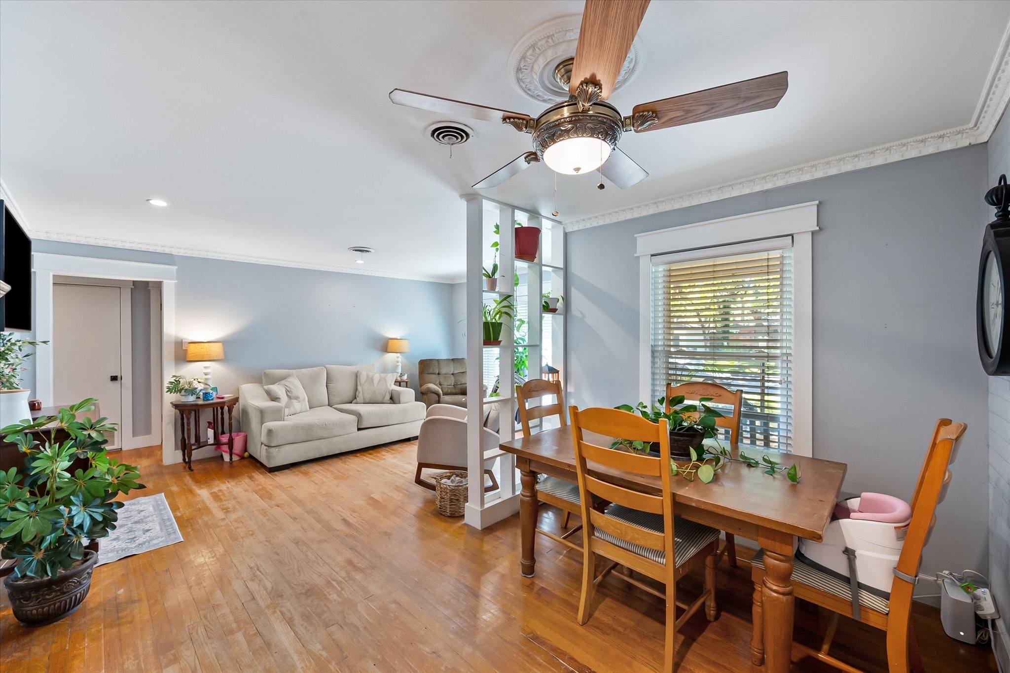 1407 Bluebonnet Trail