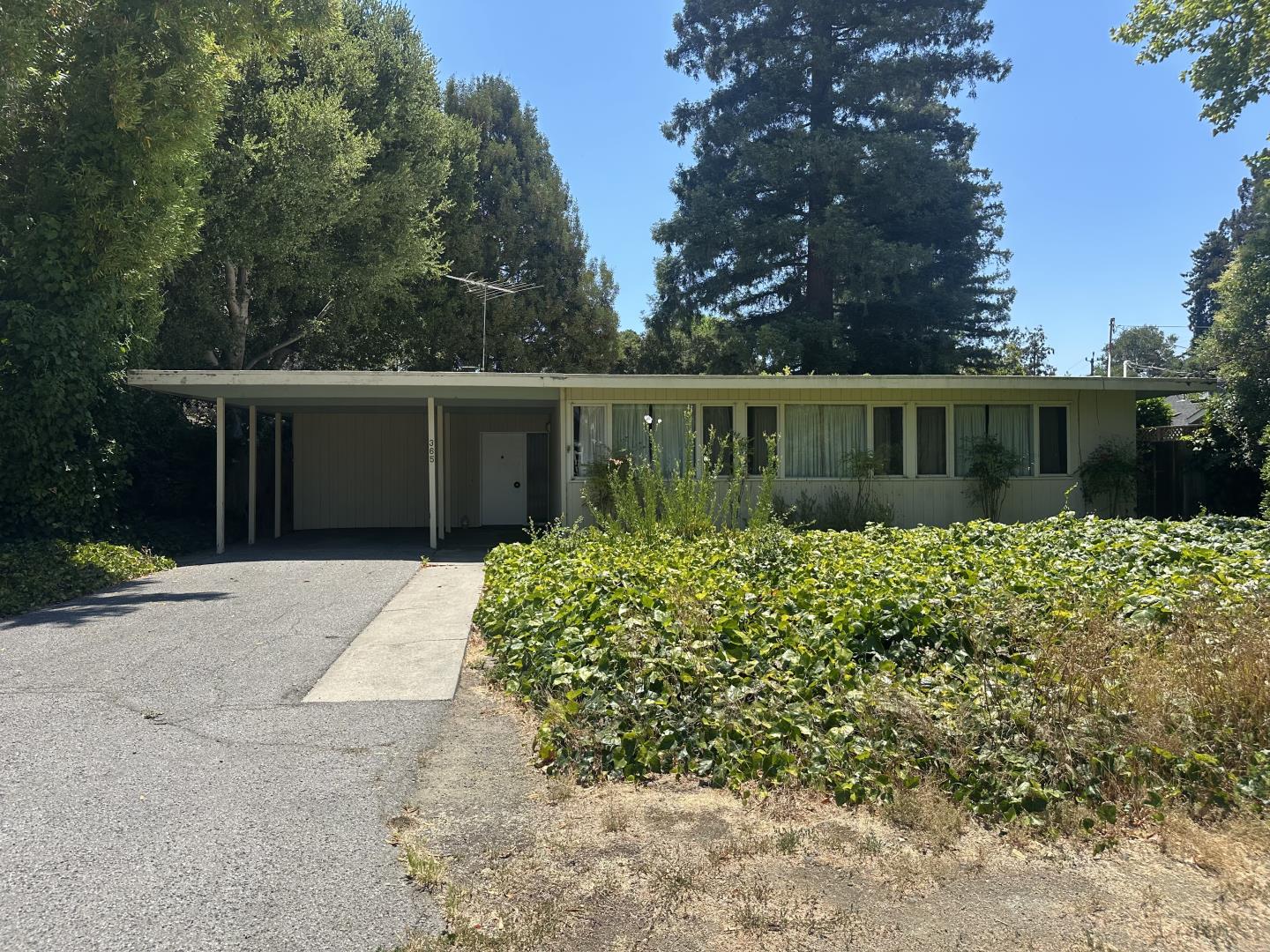 365 Arden Road