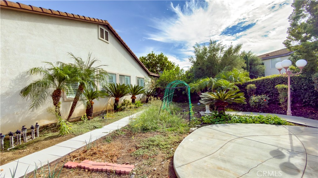Backyard with a curved concrete patio, palm trees, and a garden arch beside a stucco home.