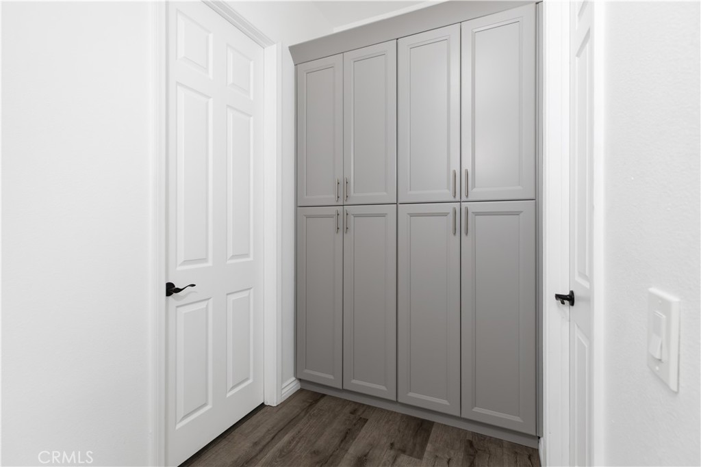 Built-in storage closet with tall gray cabinets, white doors, and dark wood-look flooring.