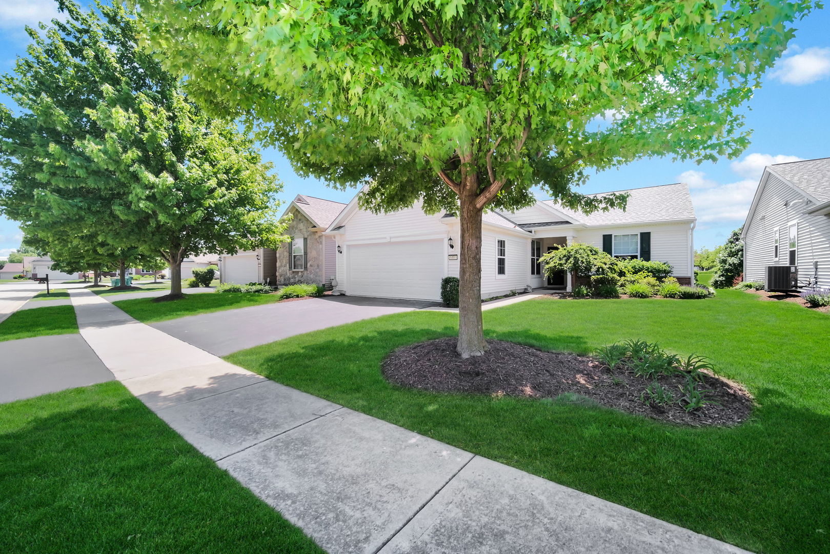 1409 Justice Court