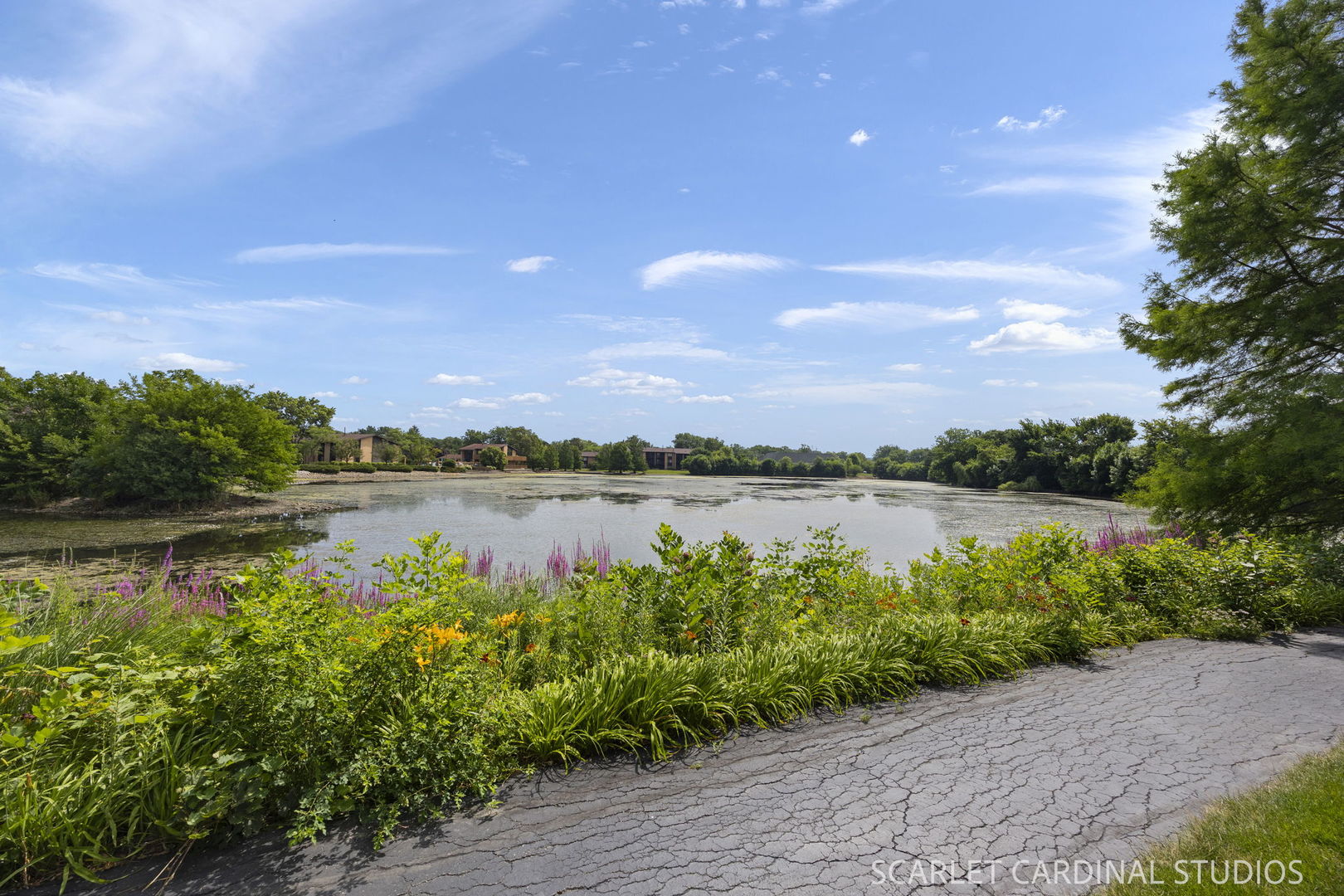 6223 Lake Park Lane Unit: B