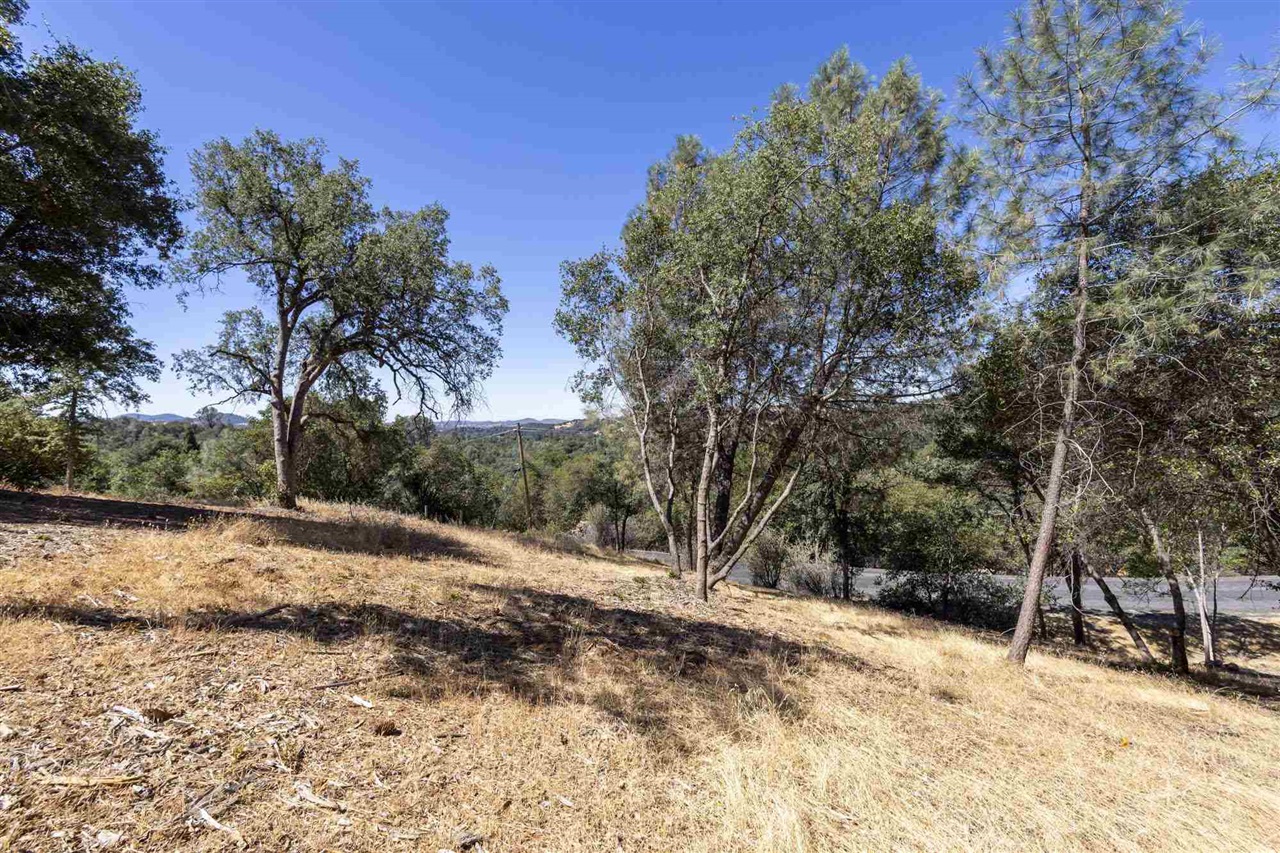 1.66 Acres Avenida Bonita N