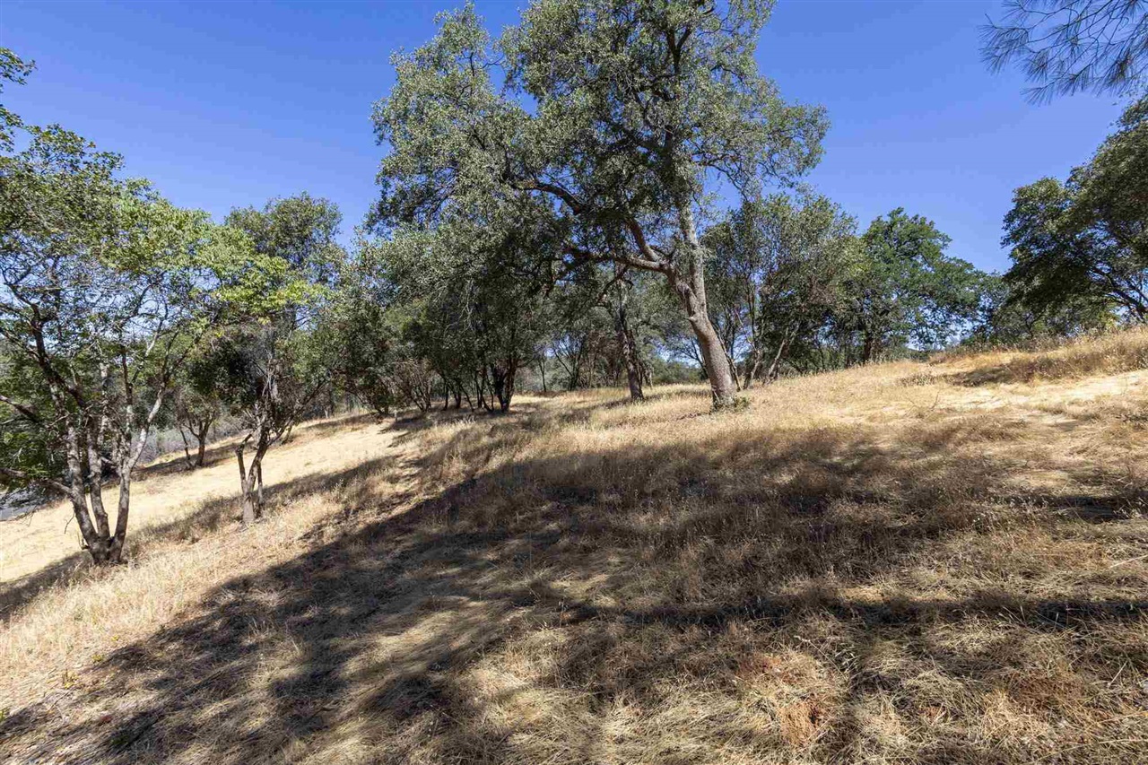 1.66 Acres Avenida Bonita N