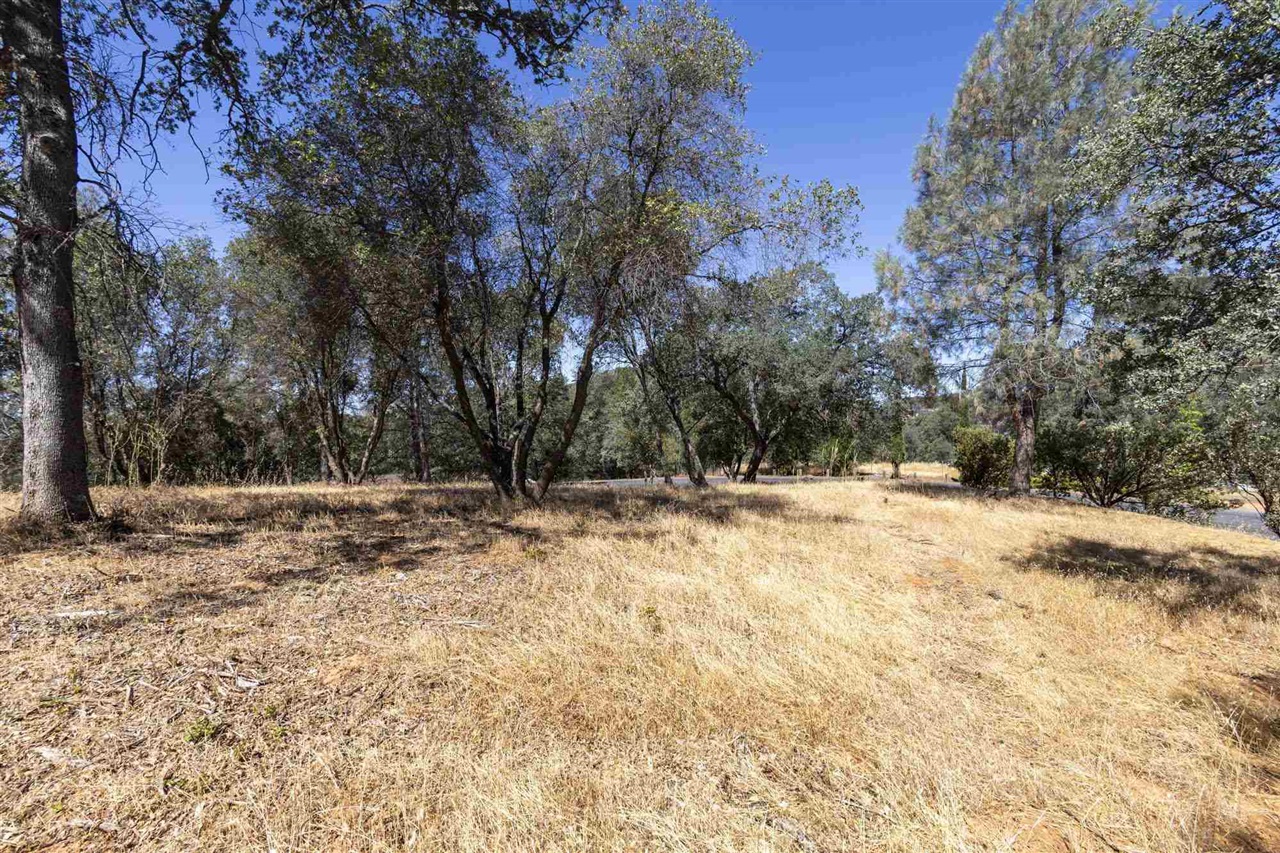 1.66 Acres Avenida Bonita N