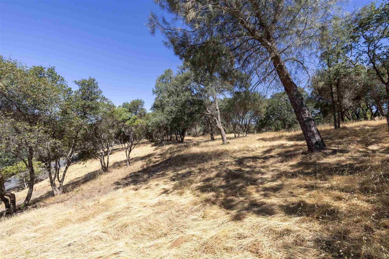 1.66 Acres Avenida Bonita N