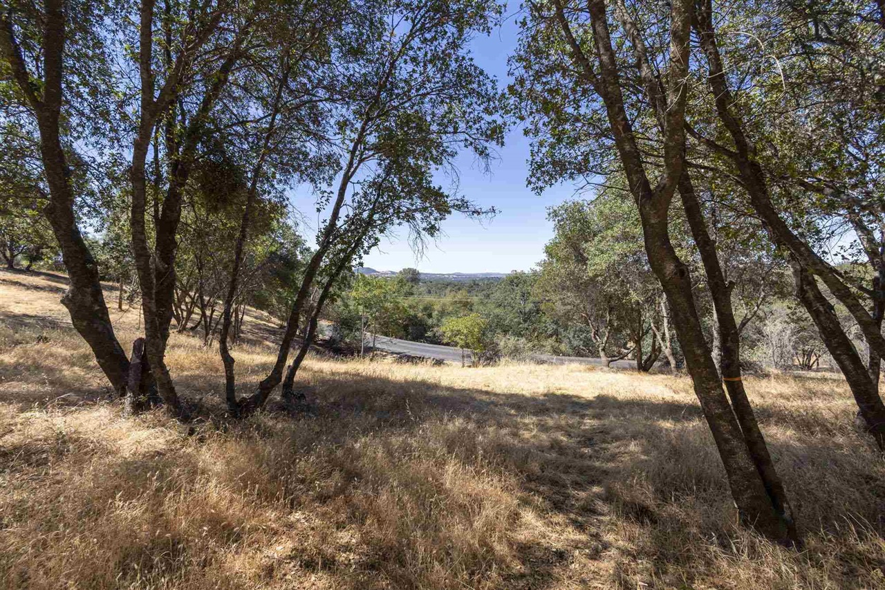 1.66 Acres Avenida Bonita N