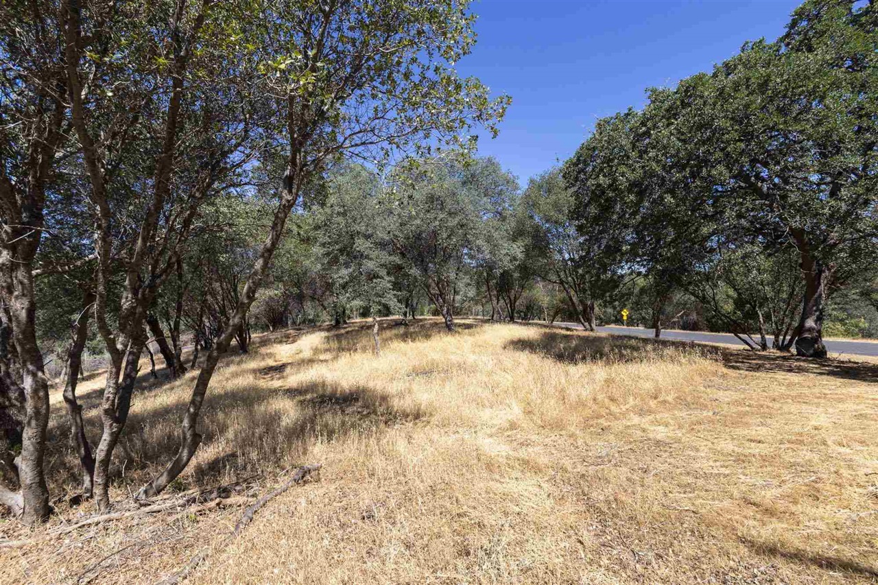 1.66 Acres Avenida Bonita N