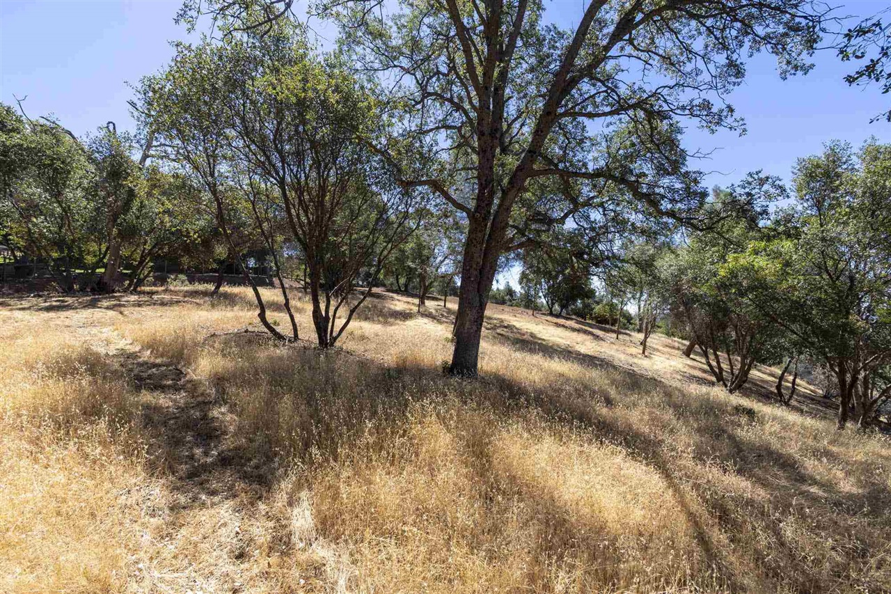 1.66 Acres Avenida Bonita N