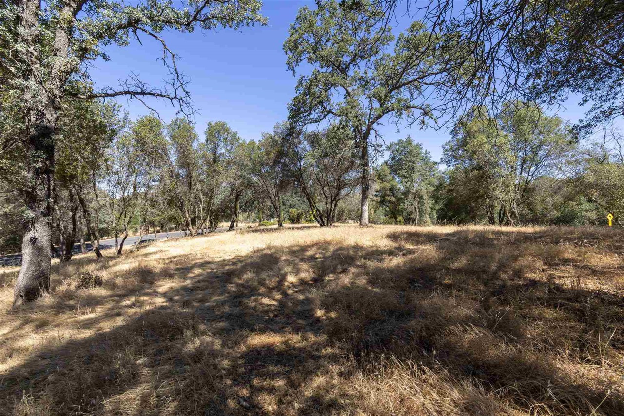 1.66 Acres Avenida Bonita N