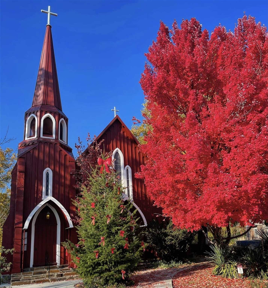 1.66 Acres Avenida Bonita N