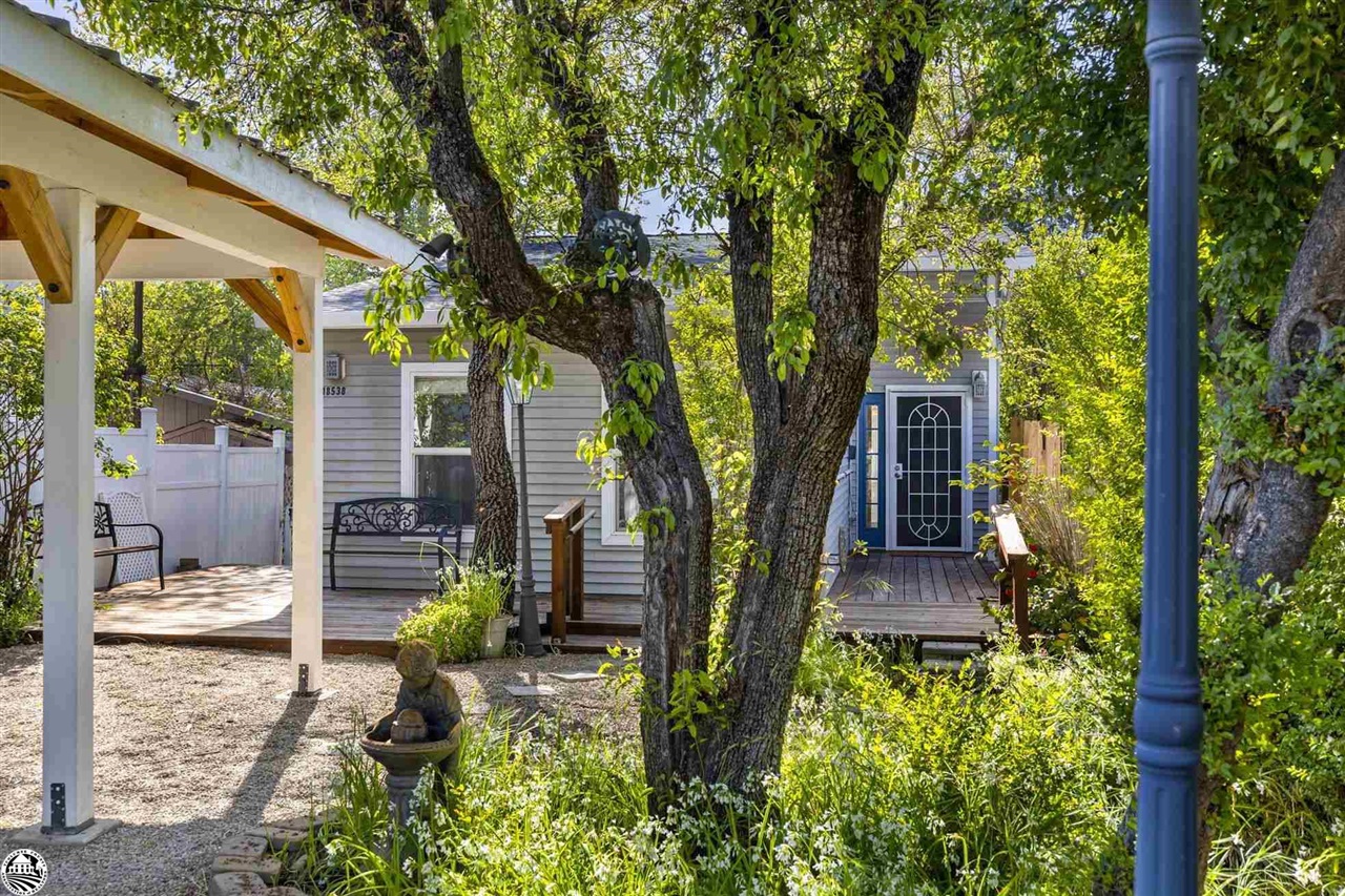 18538 Pine