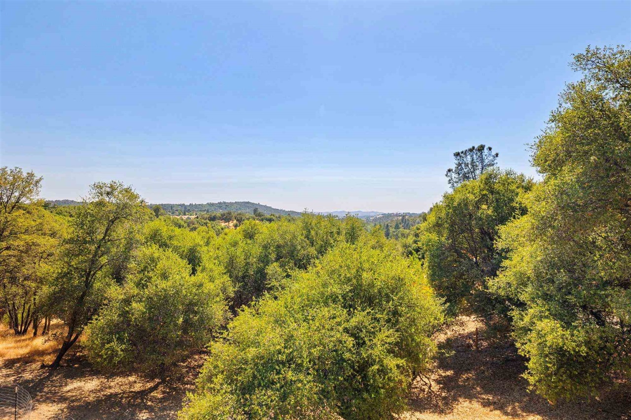 14173 Oak Knoll