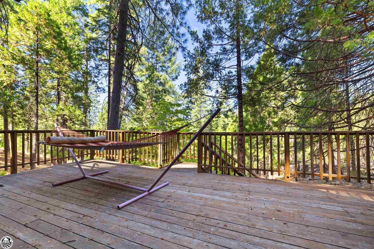 23950 Yellow Pine