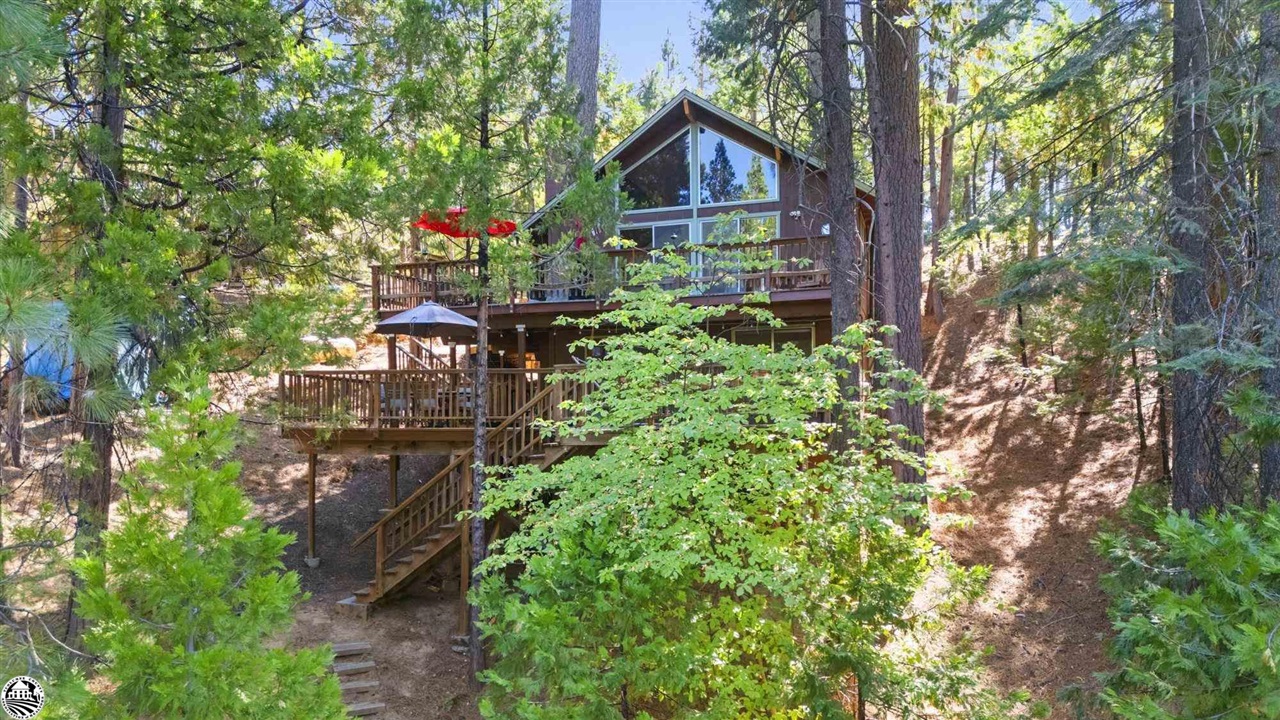 23950 Yellow Pine