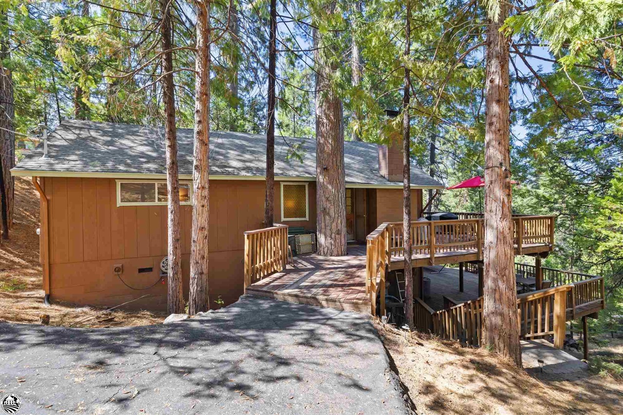 23950 Yellow Pine