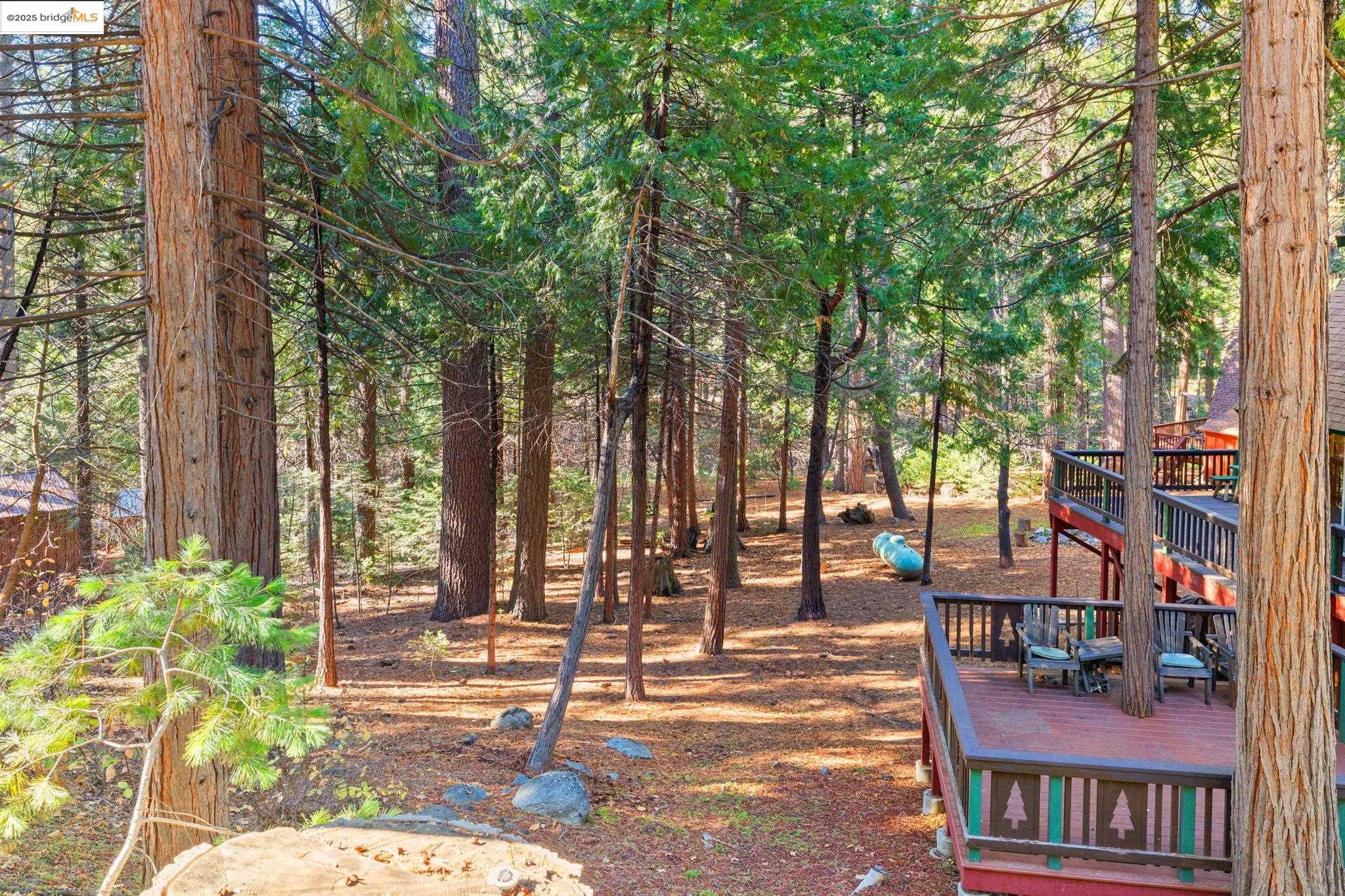 24216 Olo Win Trail + Lot 884