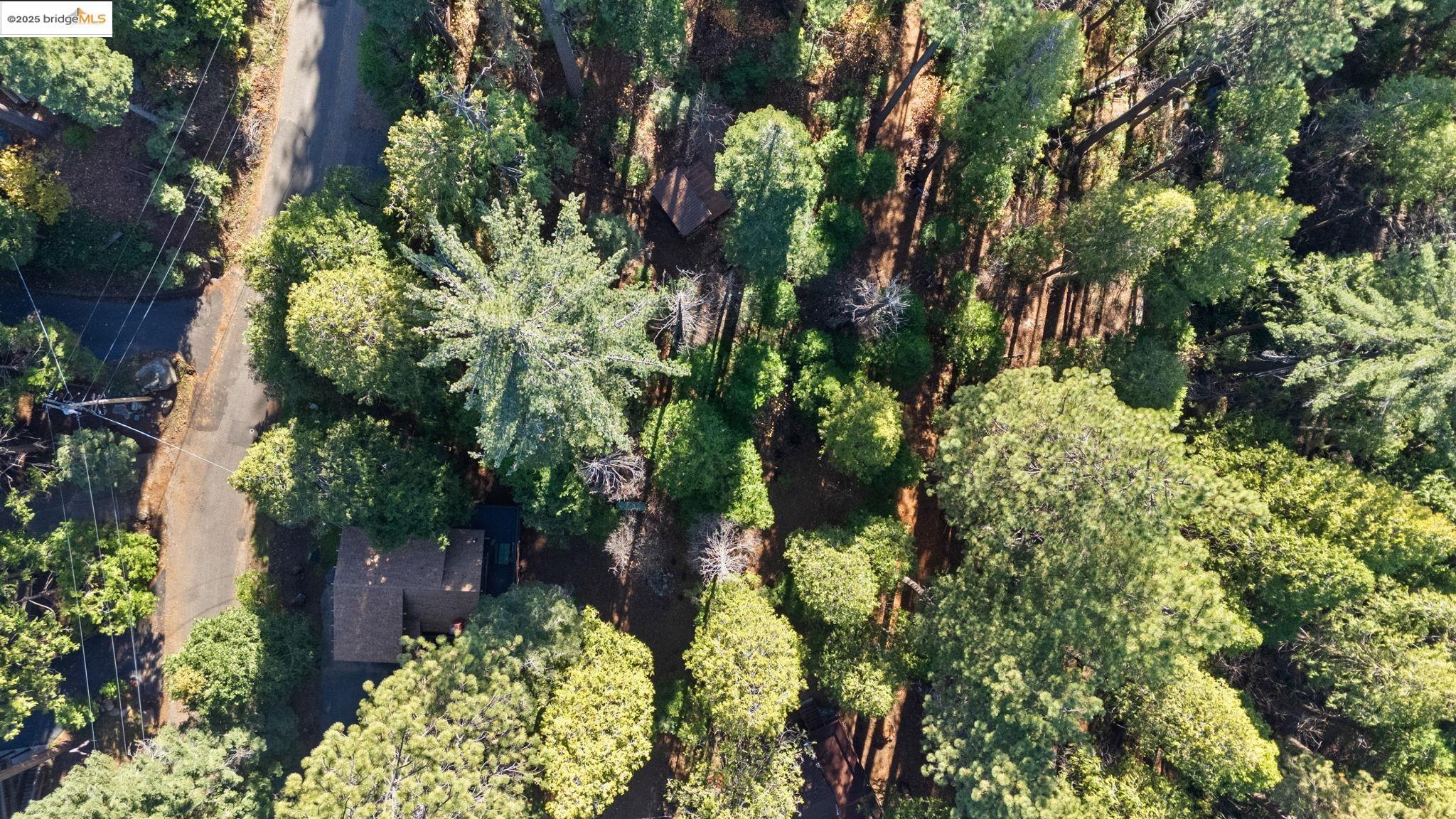 24216 Olo Win Trail + Lot 884