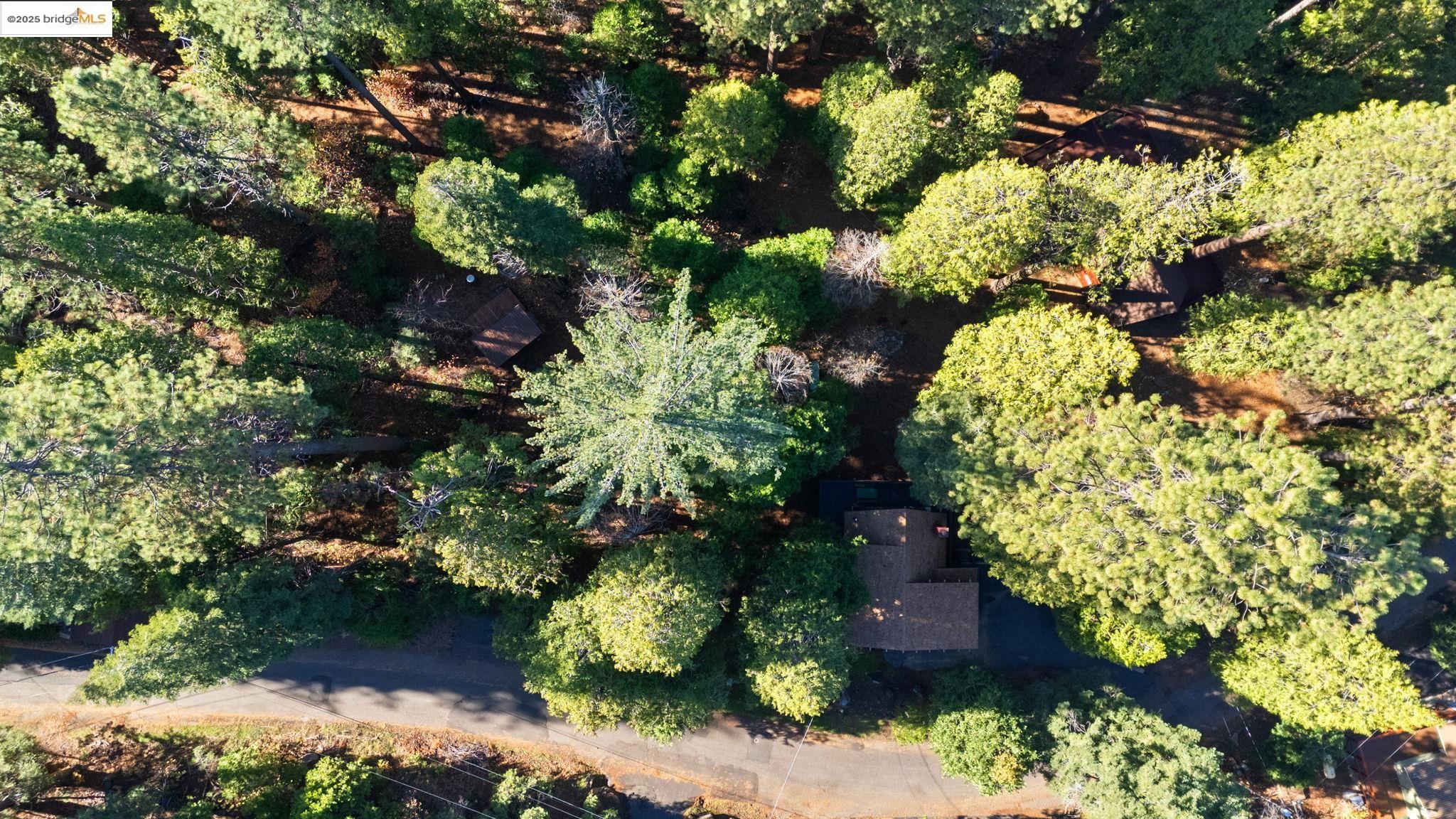 24216 Olo Win Trail + Lot 884