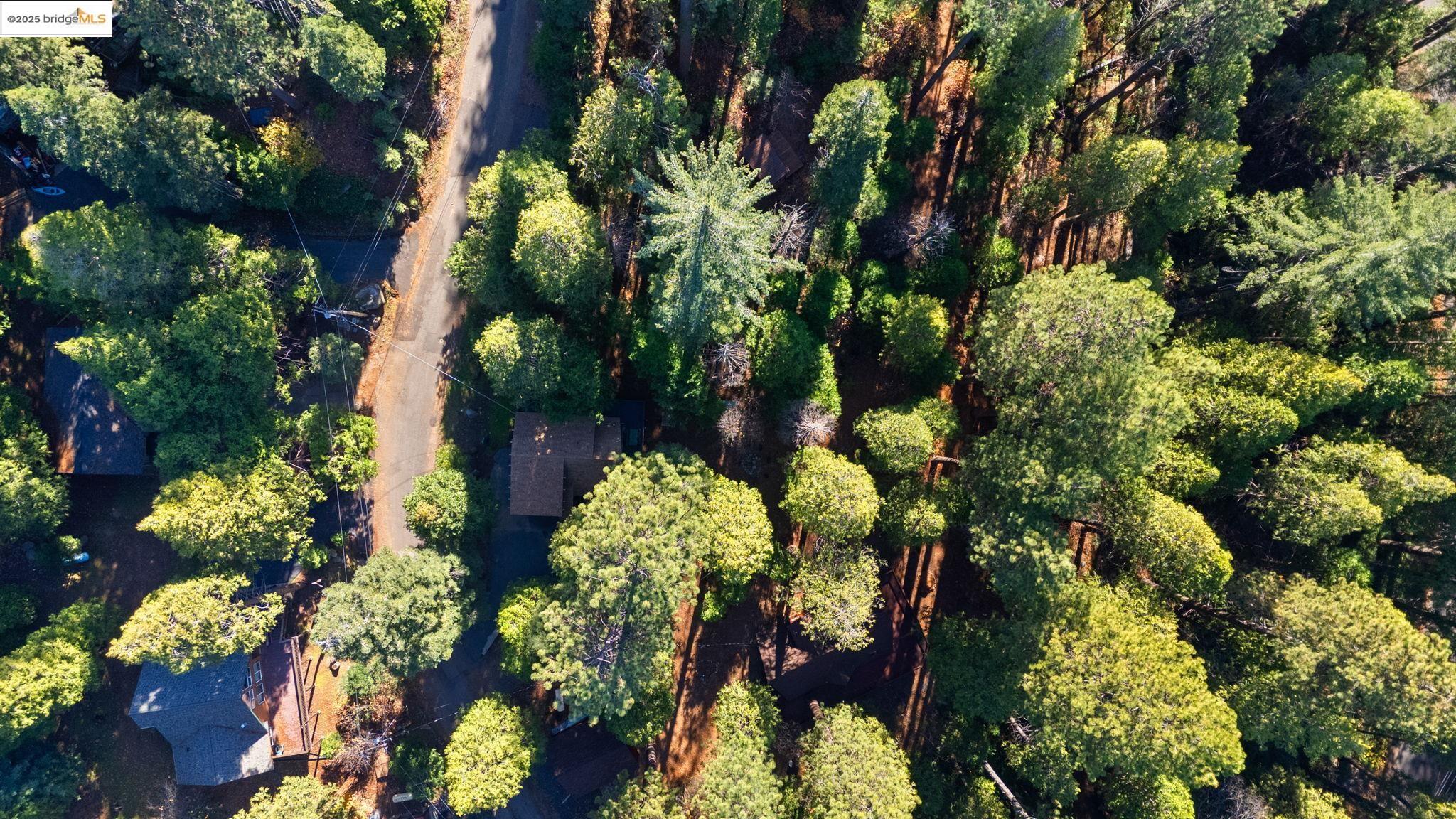 24216 Olo Win Trail + Lot 884