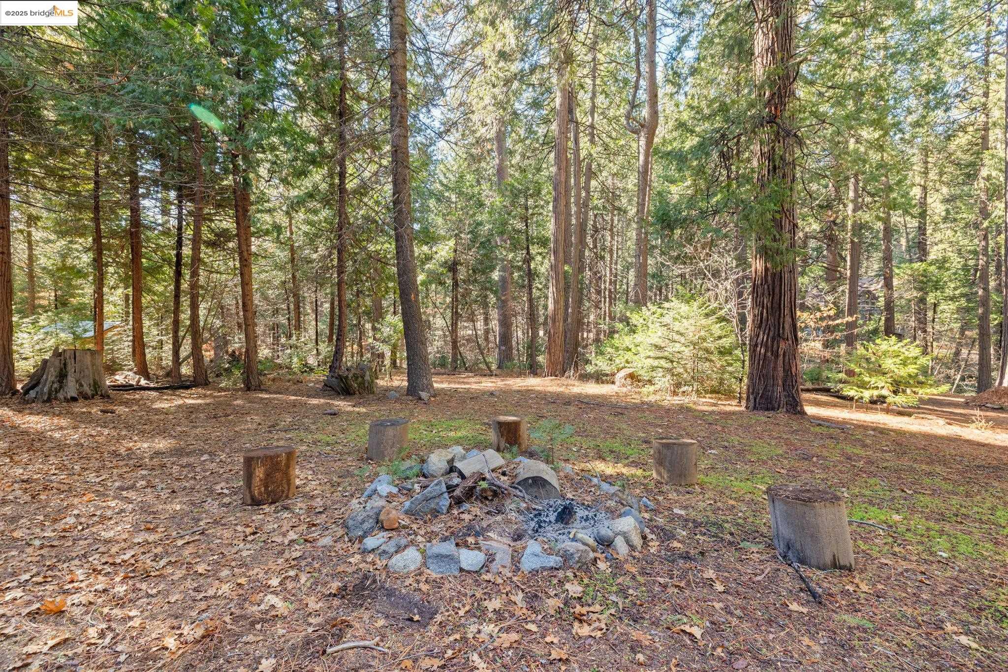 24216 Olo Win Trail + Lot 884