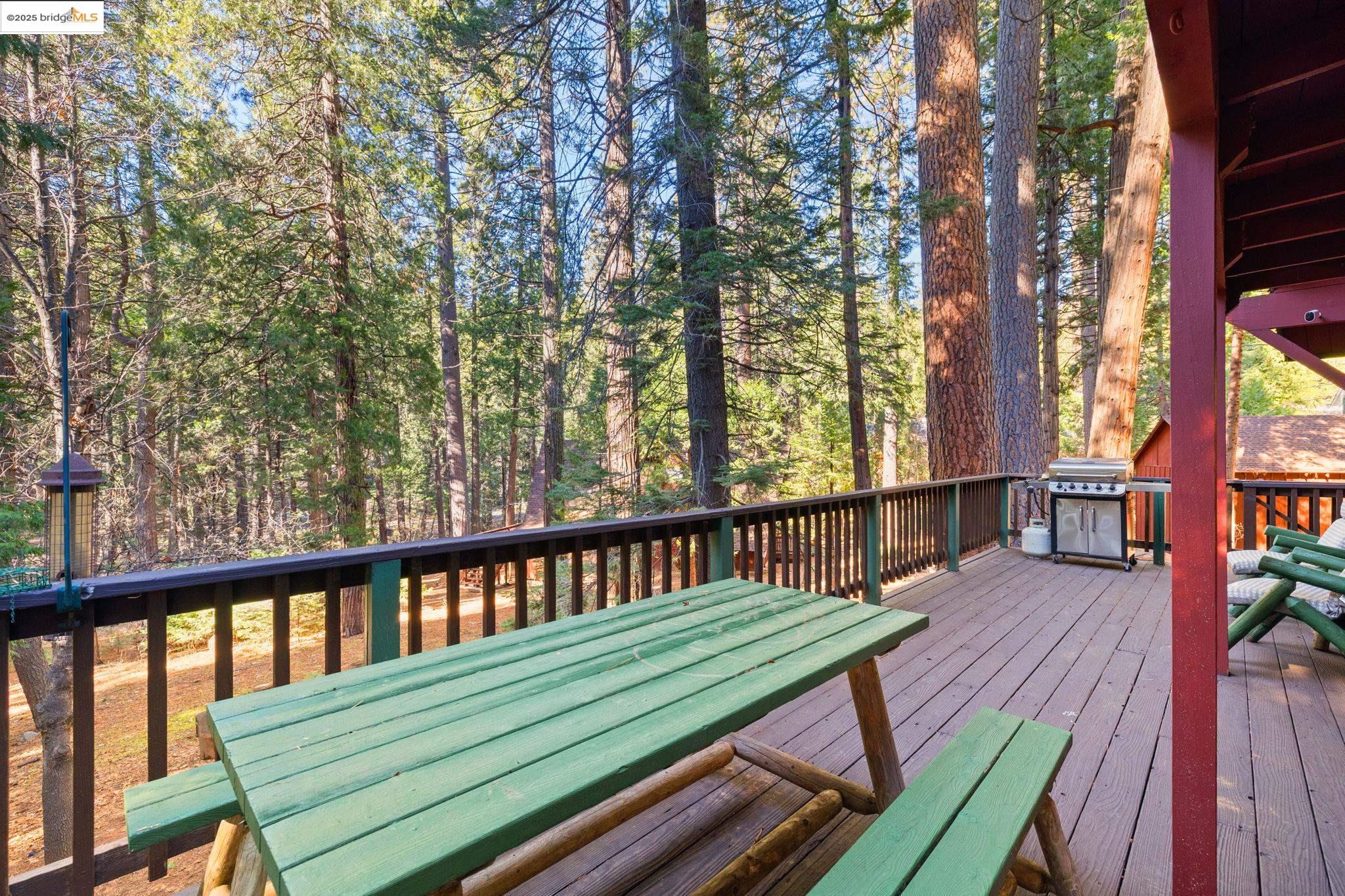 24216 Olo Win Trail + Lot 884