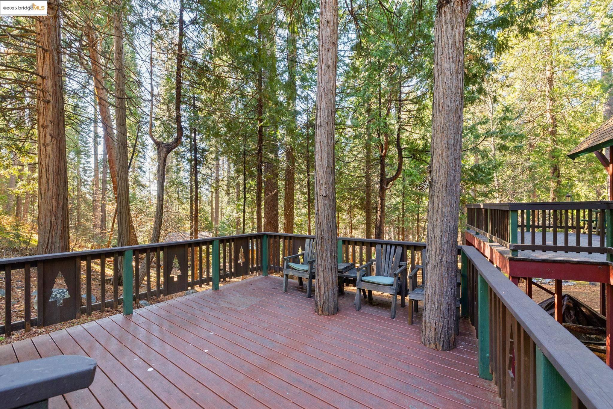 24216 Olo Win Trail + Lot 884