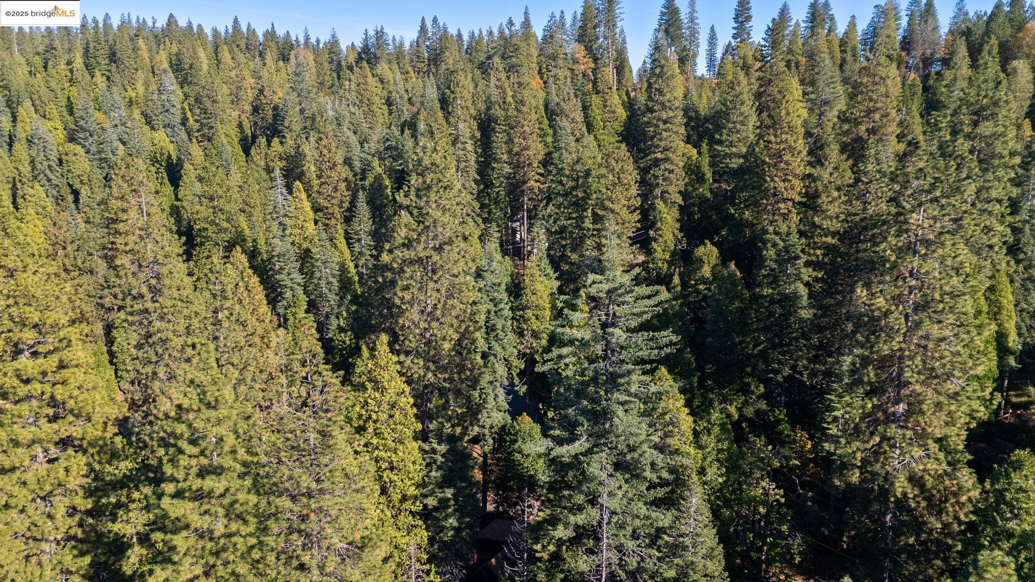 24216 Olo Win Trail + Lot 884