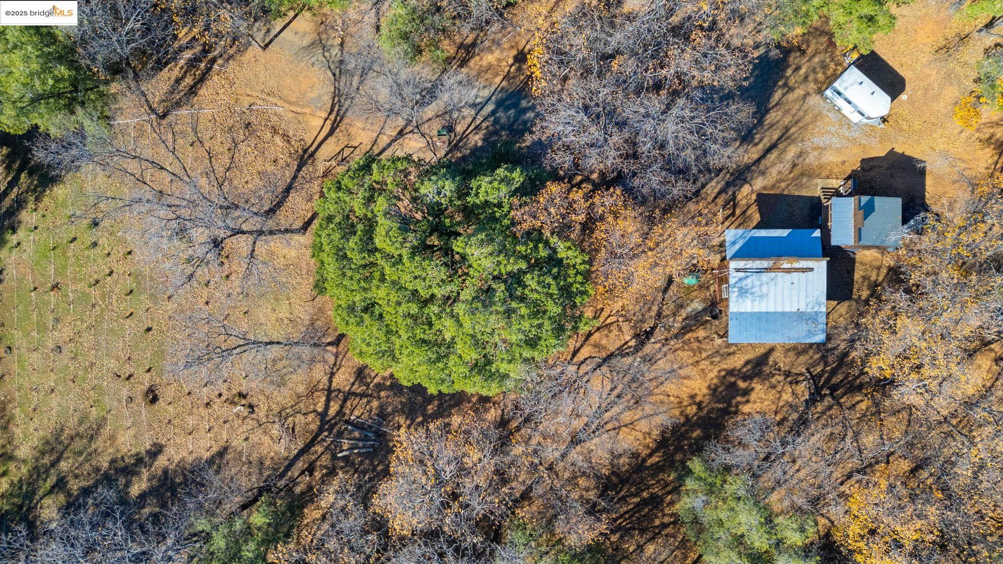 16144 Big Hill Road