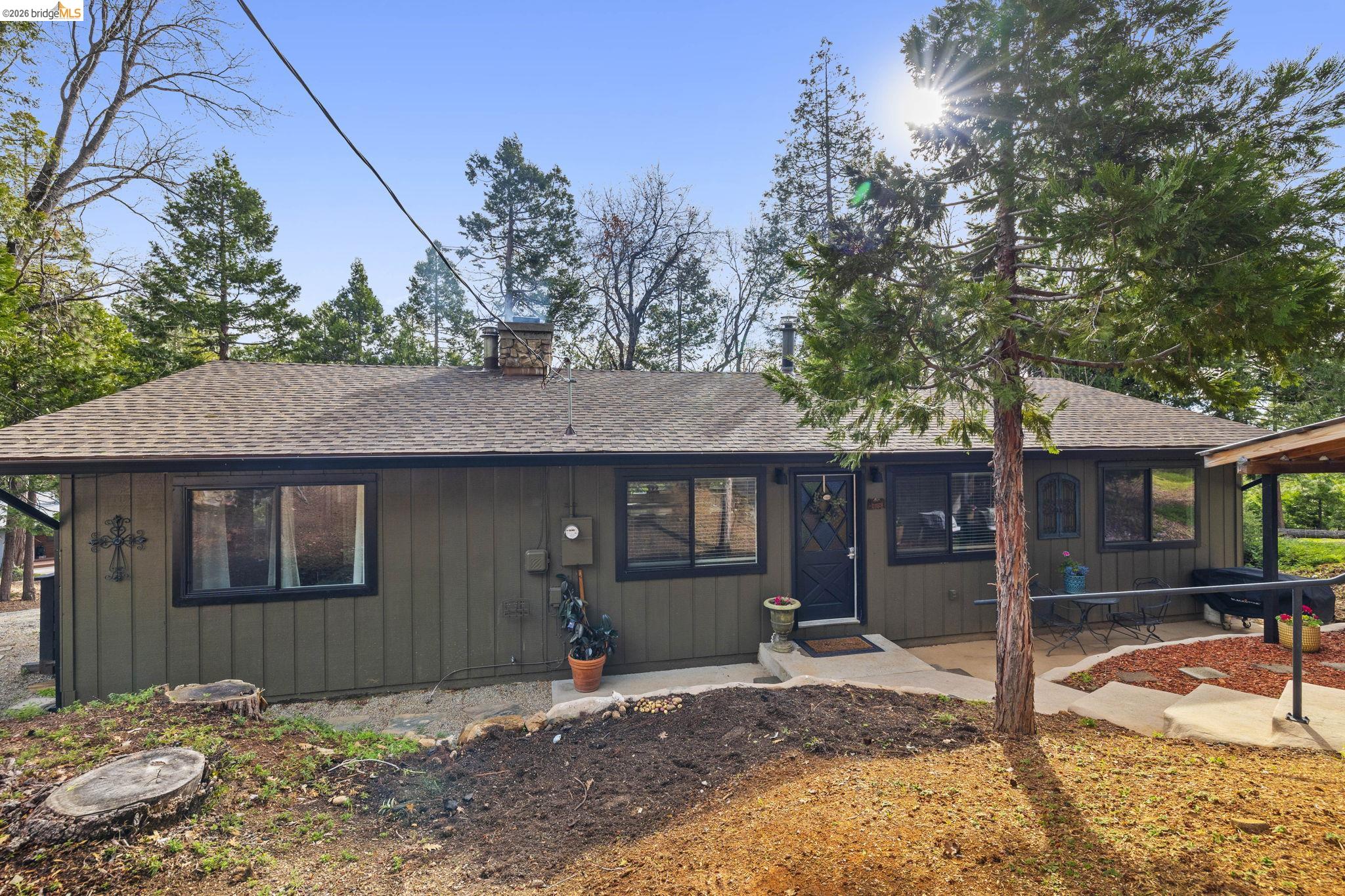 24045 Pine Cone