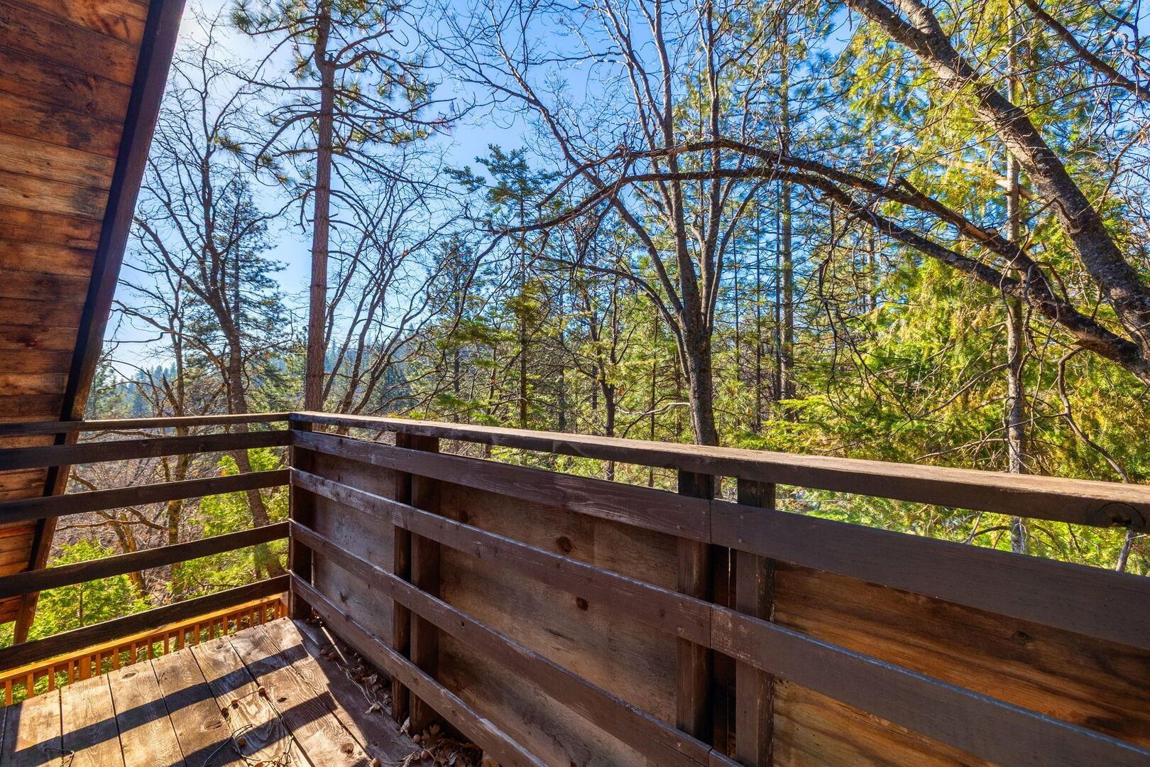 24072 S Bear Clover CT