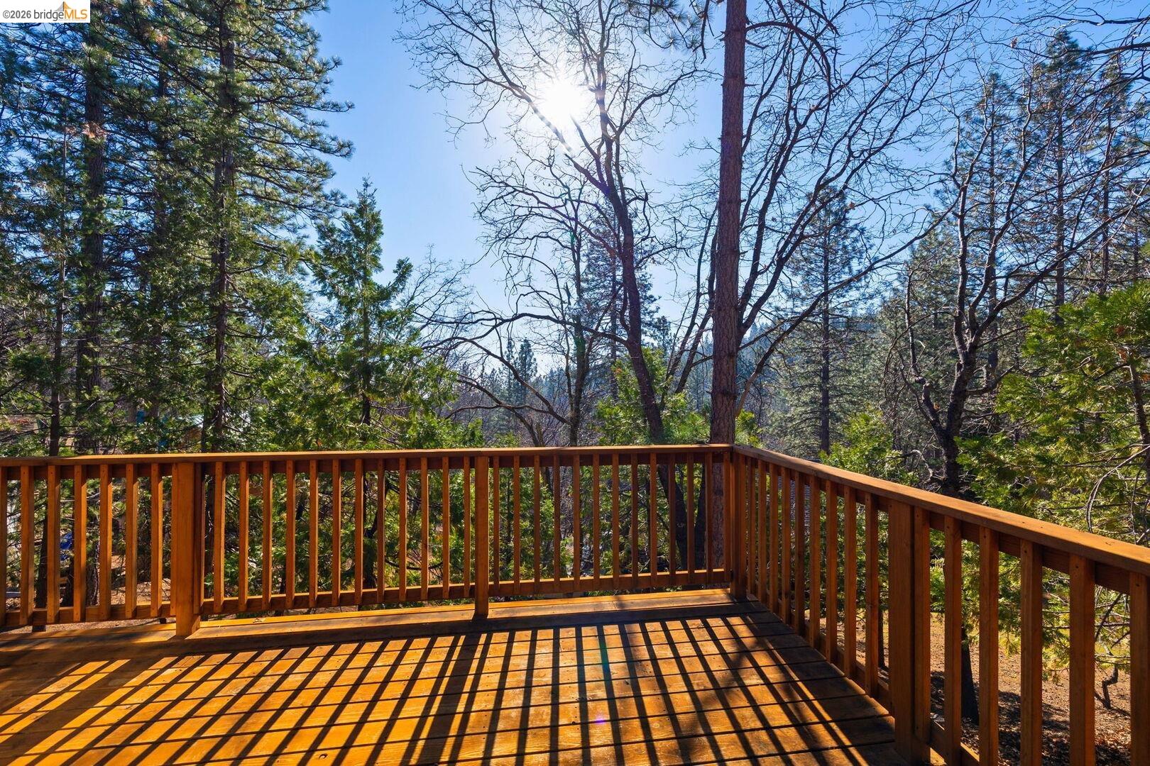 24072 S Bear Clover CT