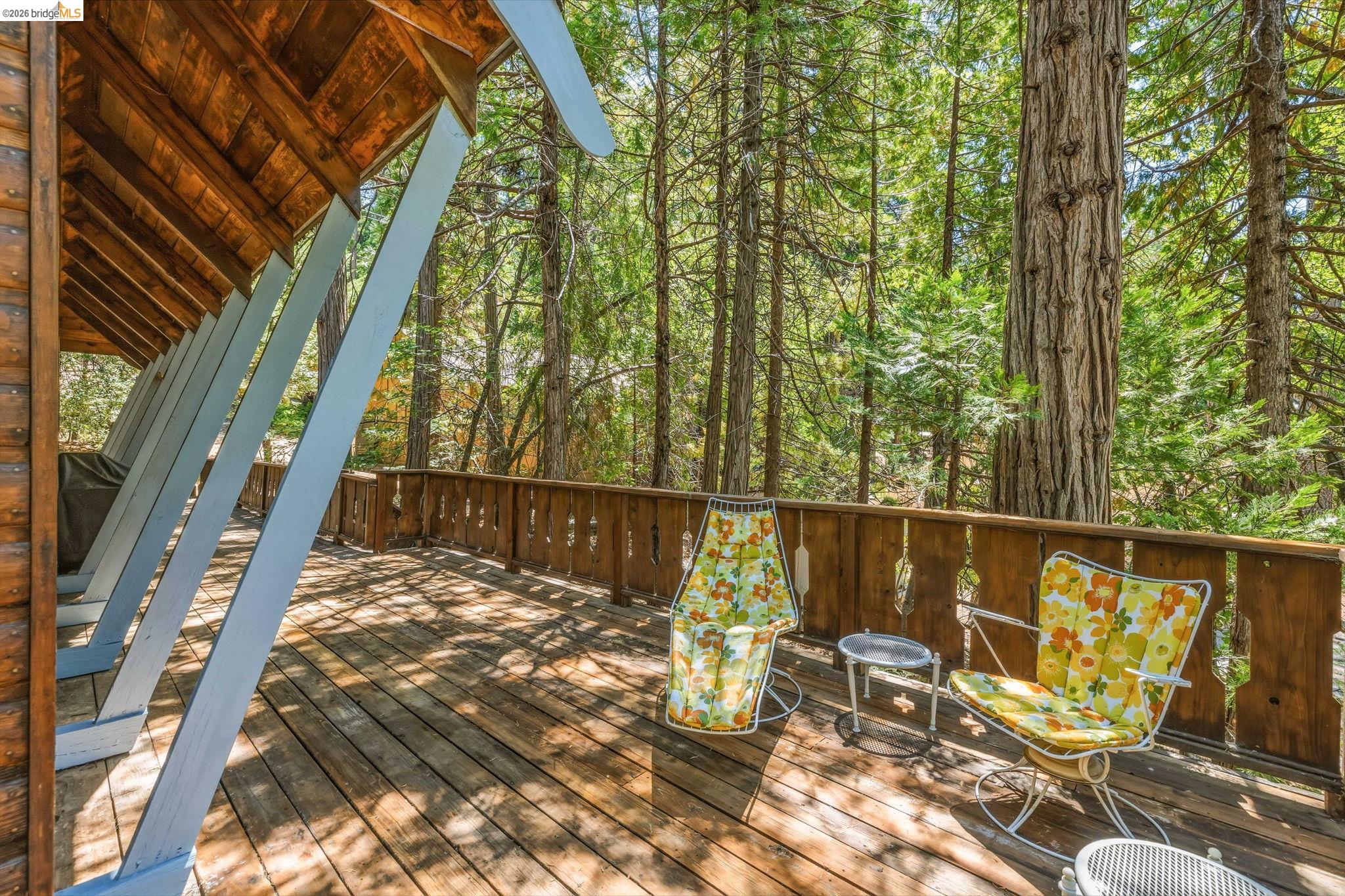 24283 Olo Win Trail