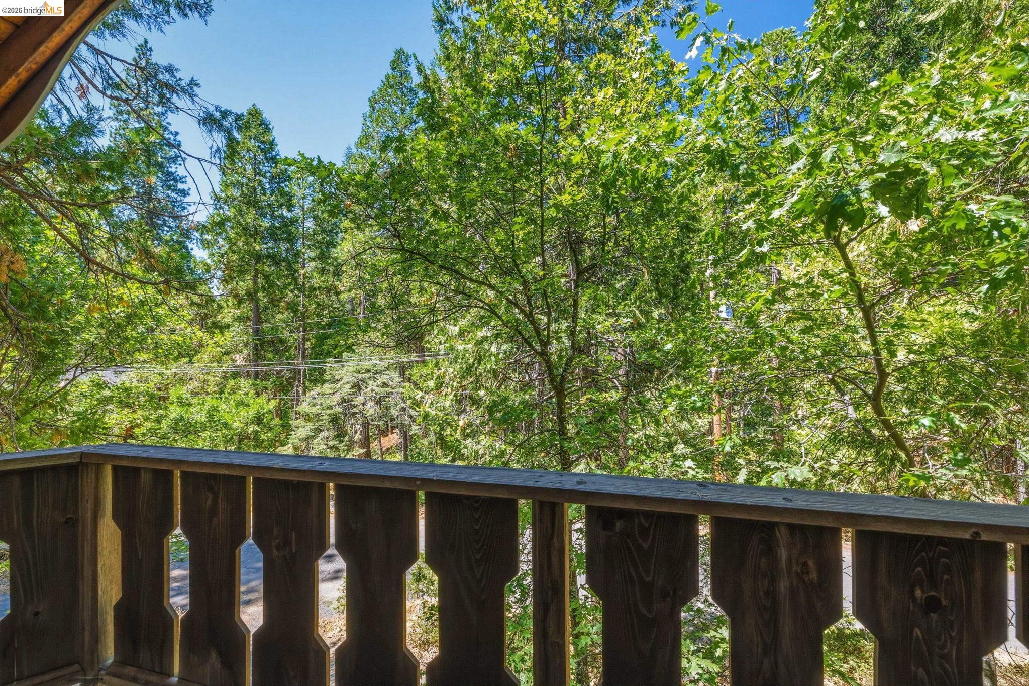 24283 Olo Win Trail