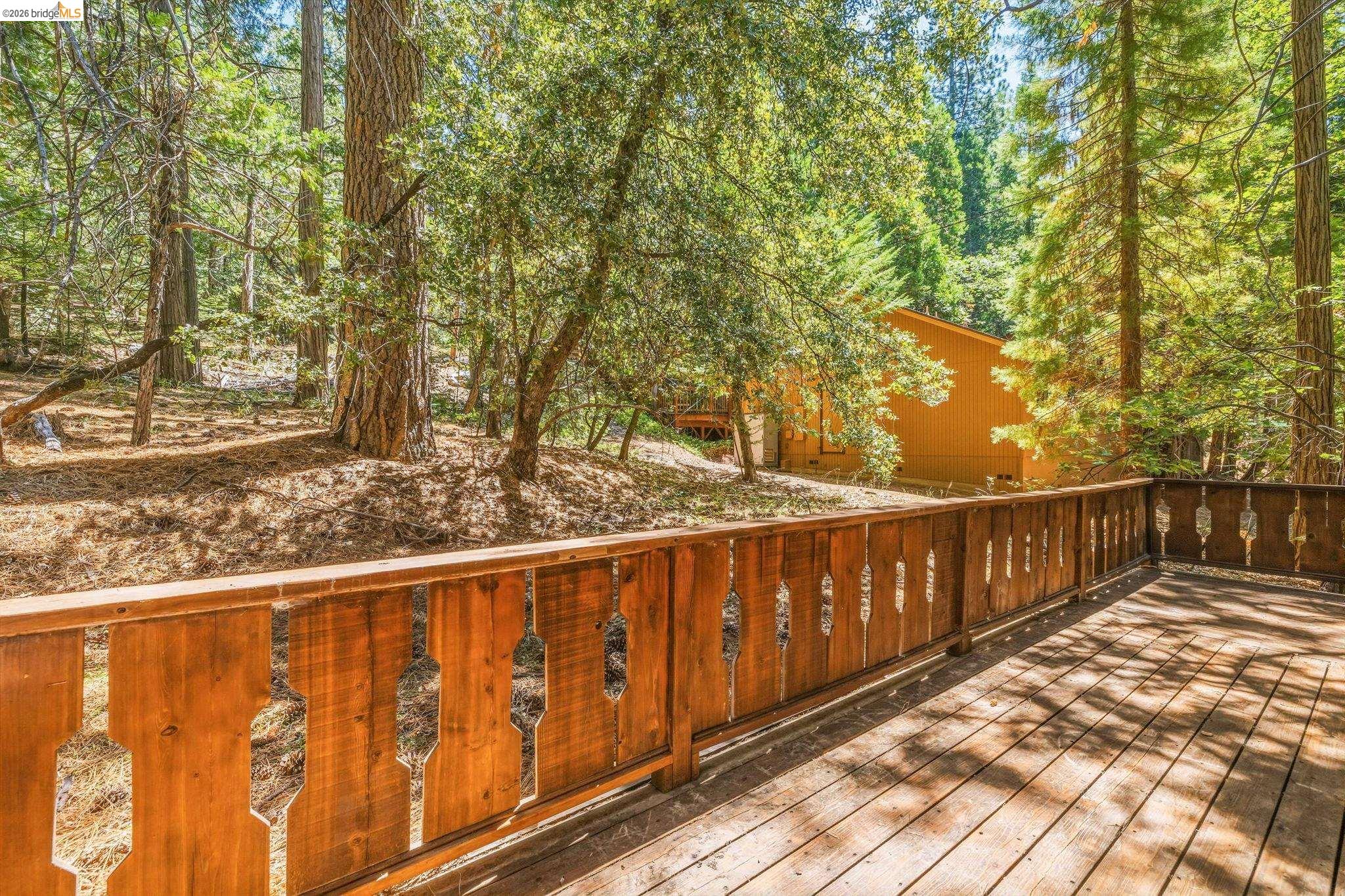 24283 Olo Win Trail