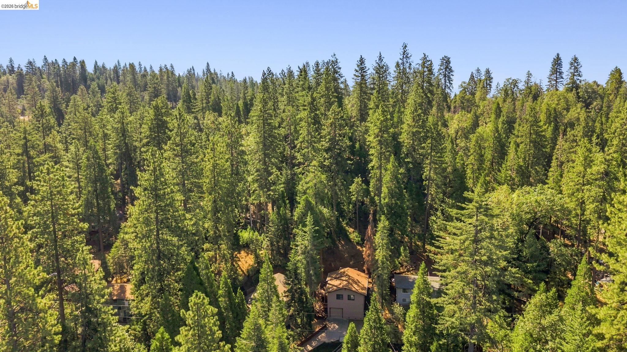 22435 Ponderosa Dr.