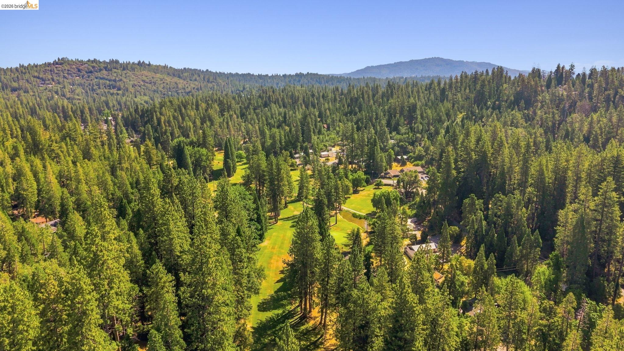 22435 Ponderosa Dr.