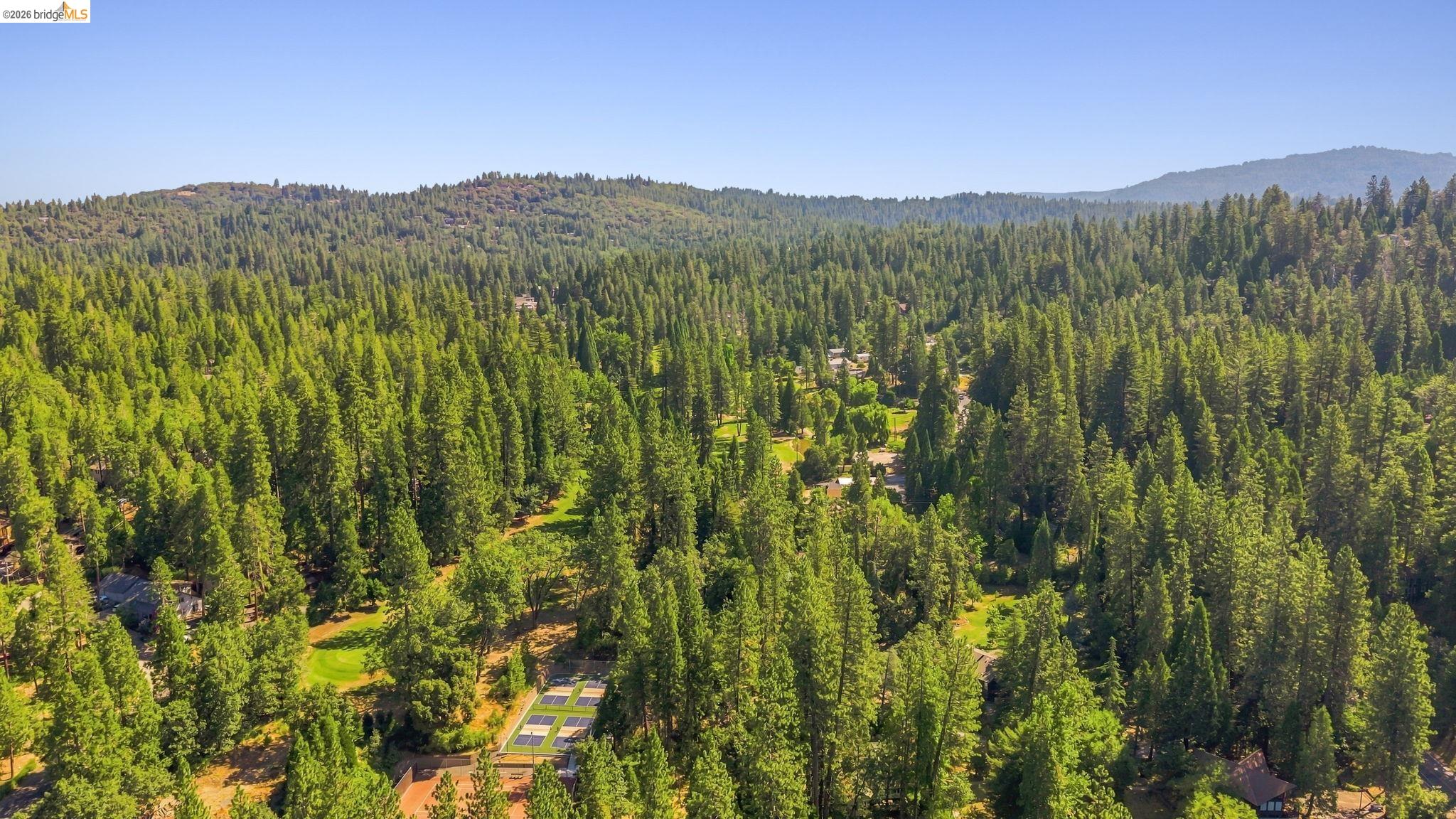 22435 Ponderosa Dr.