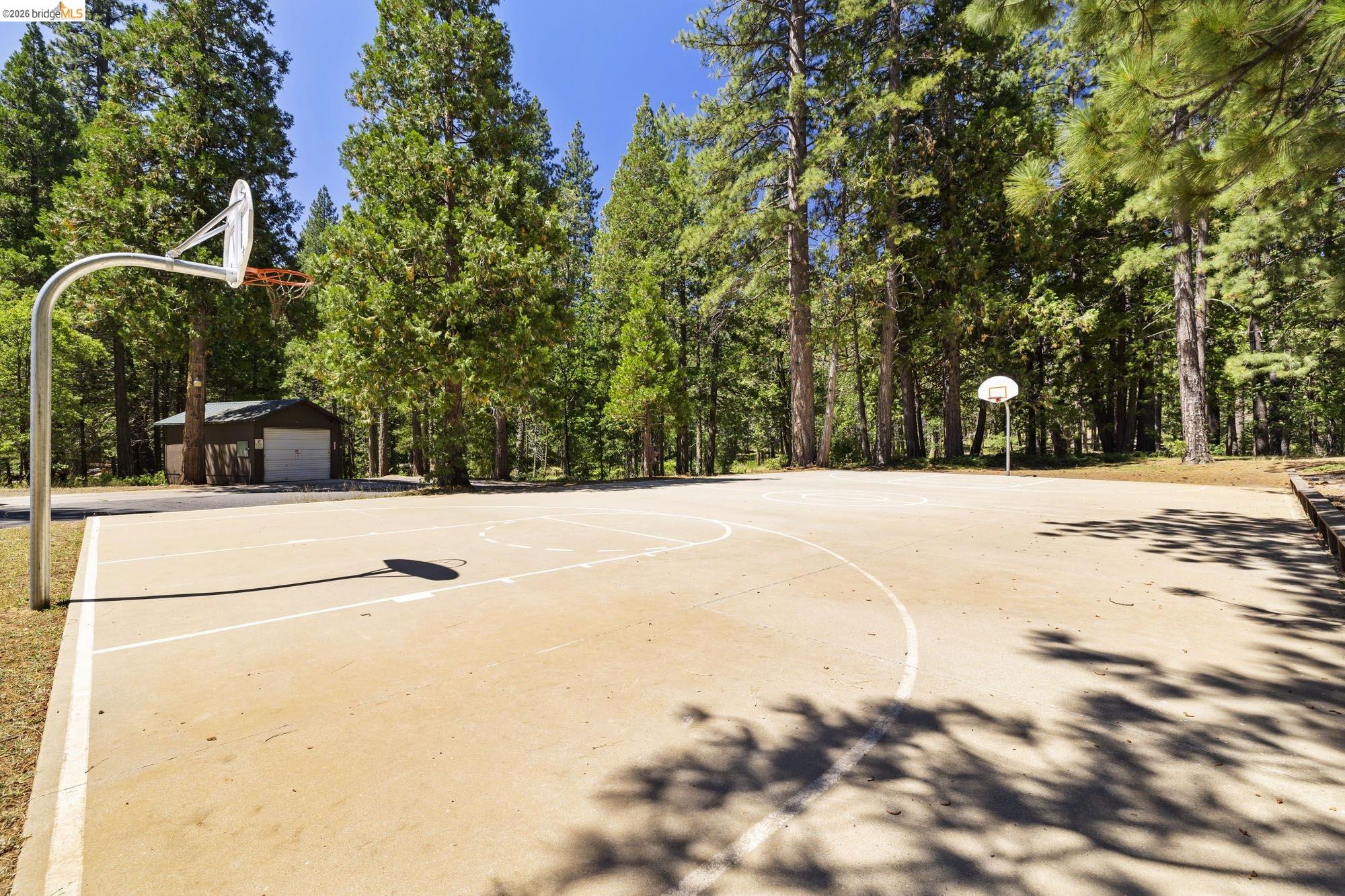 25242 Deborah Dr.