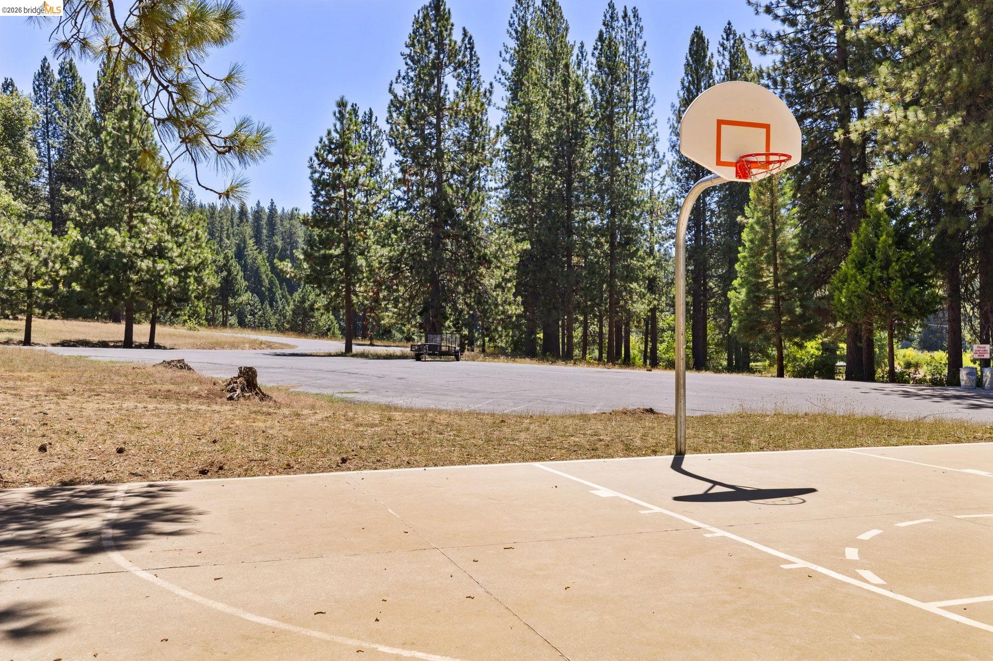 25242 Deborah Dr.