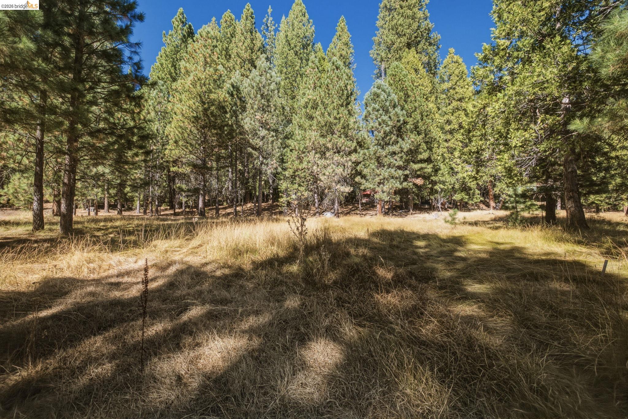 28130 Old Strawberry Road