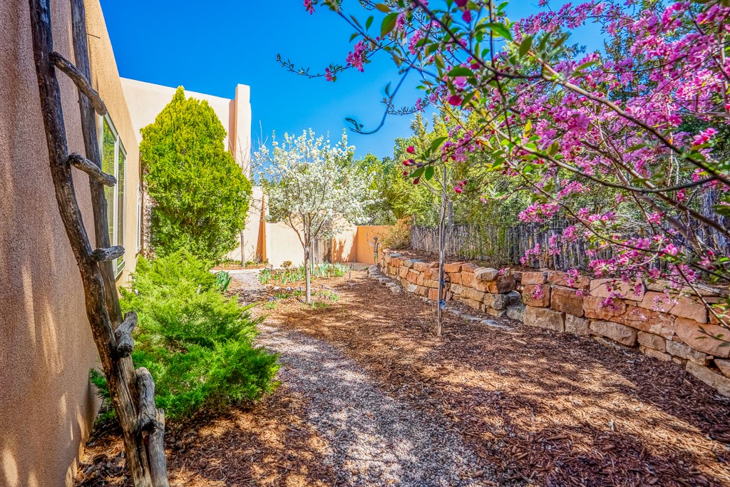 1008 Sangre De Cristo