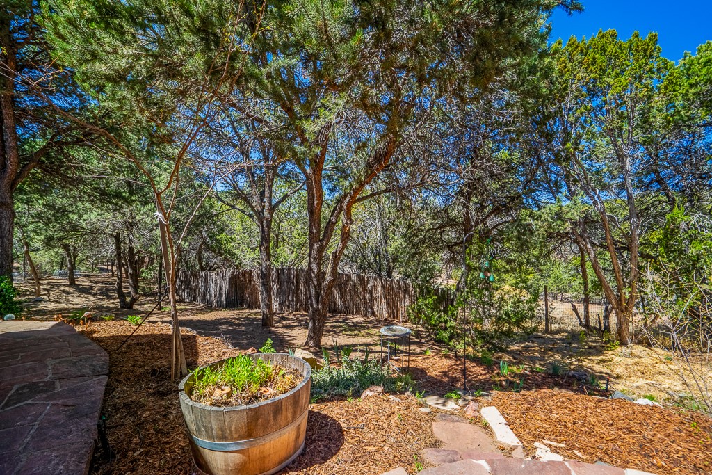 1008 Sangre De Cristo