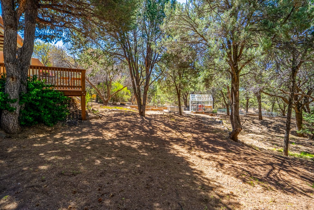 1008 Sangre De Cristo