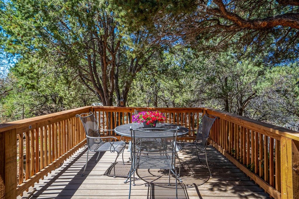 1008 Sangre De Cristo