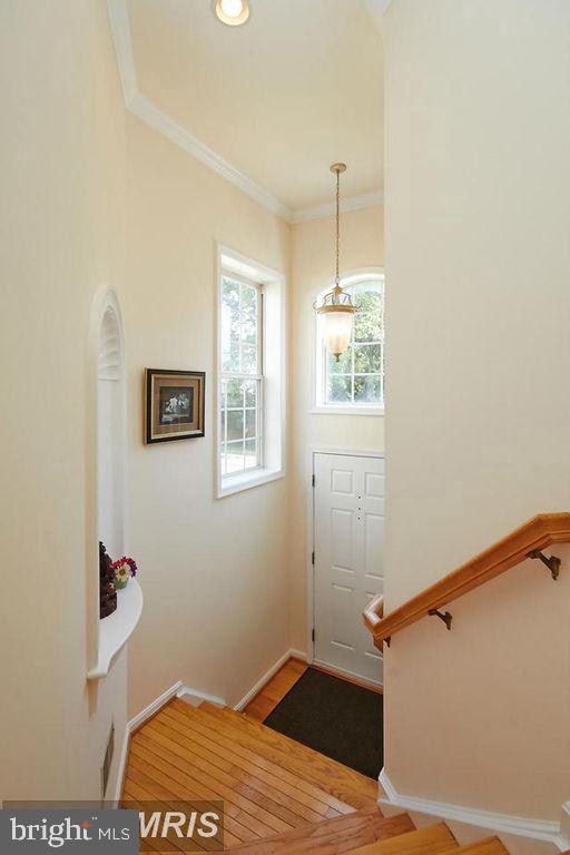 13591 CEDAR RUN LANE